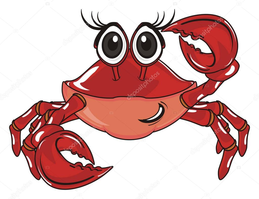 cute red crab