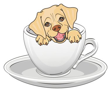 sevimli köpek labrador