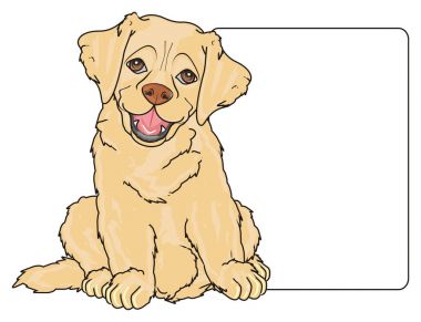 sevimli köpek labrador