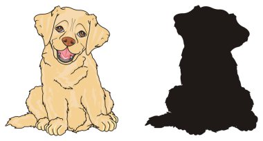 sevimli köpek labrador