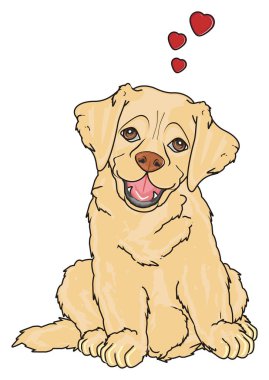 sevimli köpek labrador