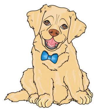 sevimli köpek labrador