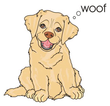 sevimli köpek labrador