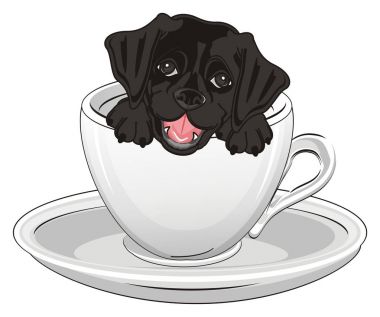 sevimli köpek labrador