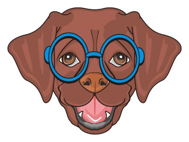 sevimli köpek labrador