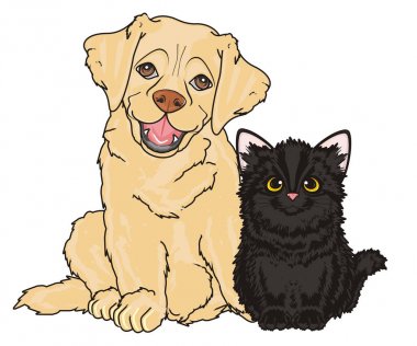 sevimli köpek labrador