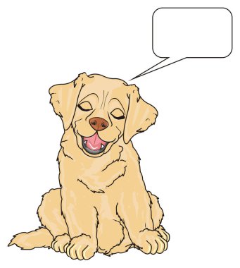 sevimli köpek labrador