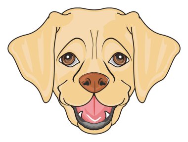 sevimli köpek labrador