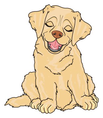 sevimli köpek labrador