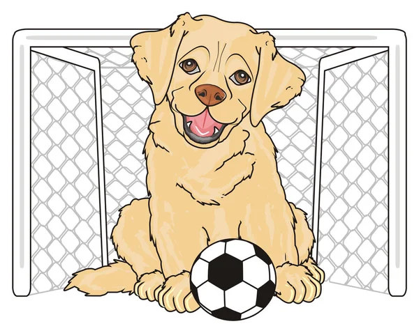 sevimli köpek labrador