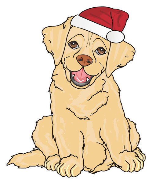 милый щенок лабрадора
