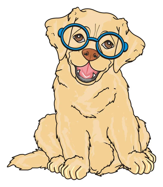 sevimli köpek labrador