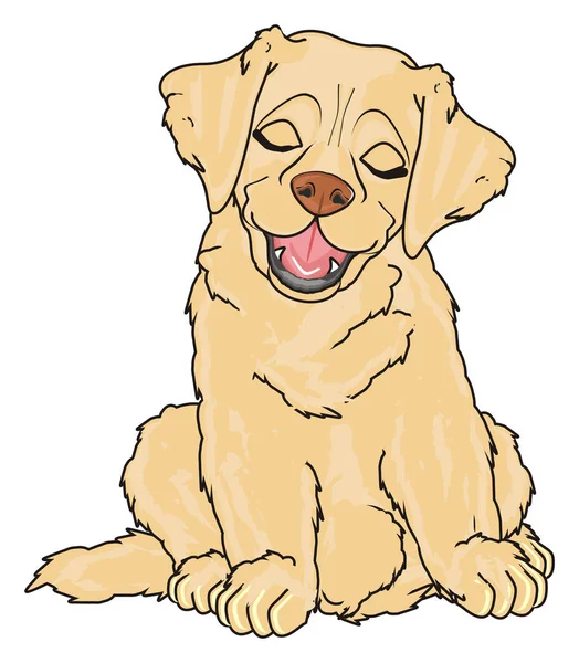 sevimli köpek labrador