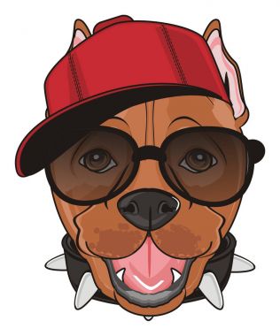 şirin kahverengi pitbull