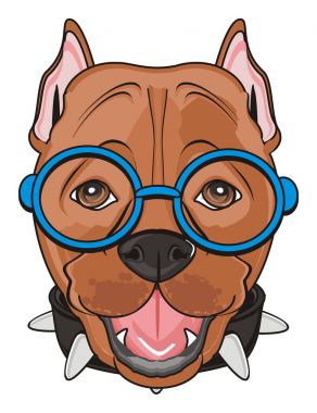 şirin kahverengi pitbull