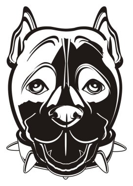 sevimli siyah pitbull