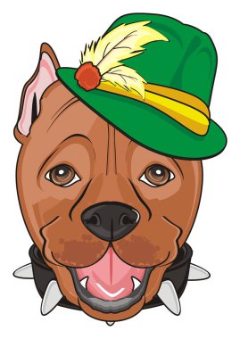 şirin kahverengi pitbull