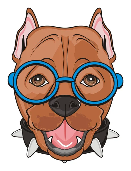 şirin kahverengi pitbull