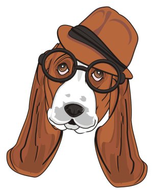 Şirin Basset Hound
