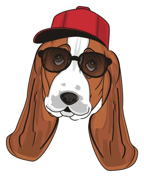 Cão basset bonito — Fotografia de Stock