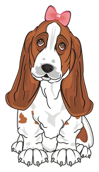 Söta Basset Hound — Stockfoto