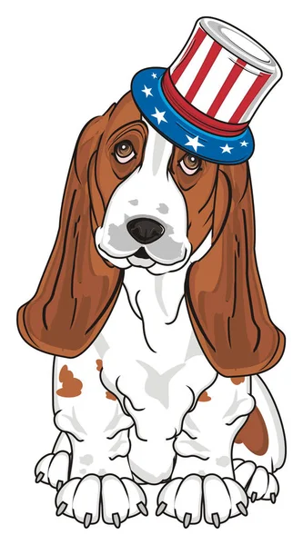 Lindo Basset Hound — Foto de Stock