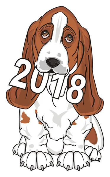 Lindo Basset Hound — Foto de Stock