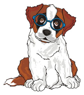 st. bernard, köpek yavrusu