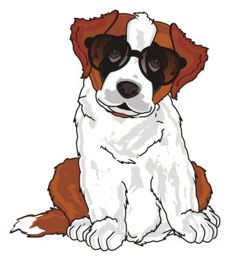 st. bernard, köpek yavrusu