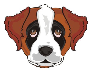 st. bernard köpek namlu