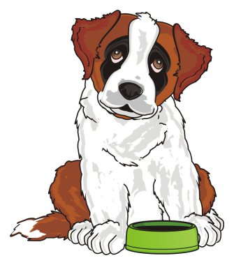 st. bernard, köpek yavrusu