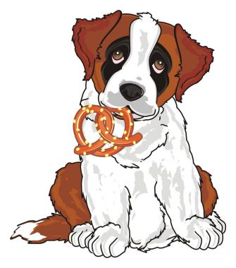 st. bernard, köpek yavrusu