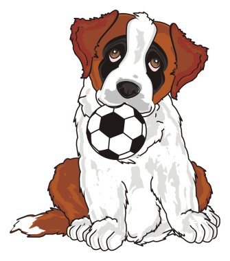 st. bernard, köpek yavrusu