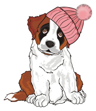 st. bernard, köpek yavrusu