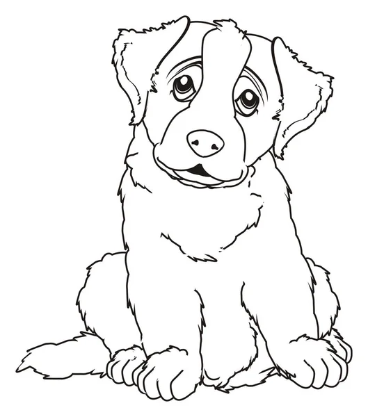 Coloring puppy of st. bernard — Stock Photo, Image