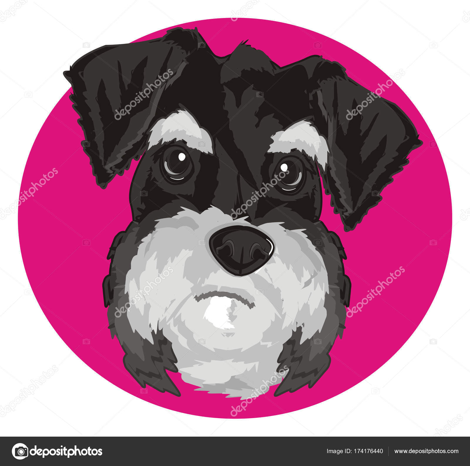 Schnauzer muzzle cheap