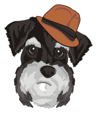 gri schnauzer namlu