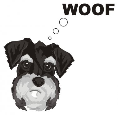 gri schnauzer namlu