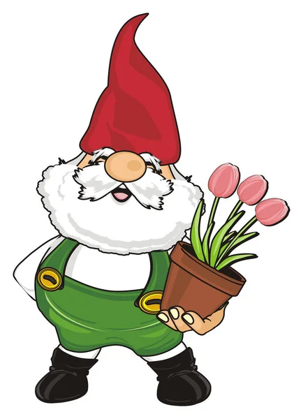 Glad Gnome Hålla Rosa Tulpaner — Stockfoto