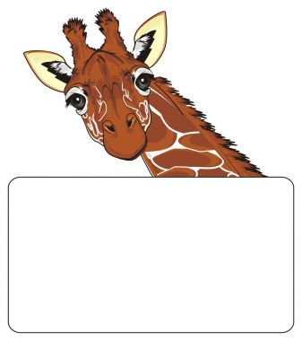 kağıttan kadar zürafa göz burun