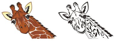 zürafa zürafa boyama ile namlu