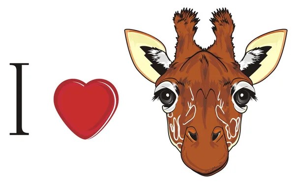 Nosen Giraff Med Rött Hjärta — Stockfoto