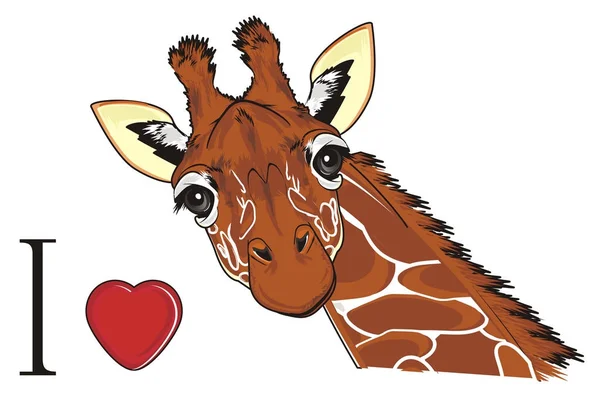 Museau Girafe Avec Coeur Rouge Lettre — Photo