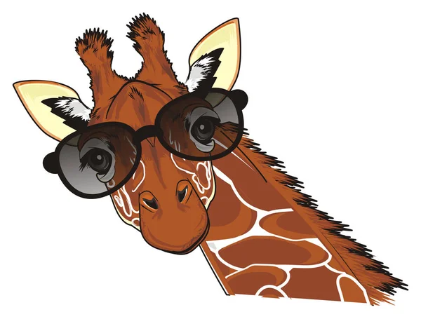 Mynningen Giraff Svarta Solglasögon — Stockfoto