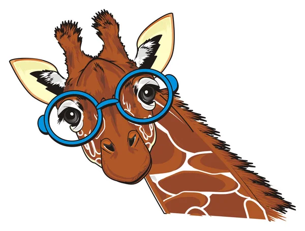 Museau Girafe Lunettes Rondes Bleues — Photo