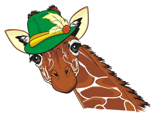 长颈鹿的枪口在绿色帽子 — 图库照片