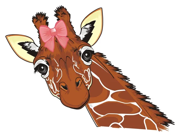 muzzle of giraffe with pink bow