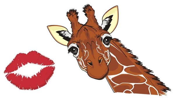 muzzle of giraffe and large red kiss