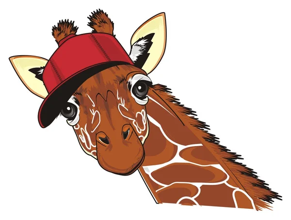 Mynningen Giraff Röd Cool Mössa — Stockfoto