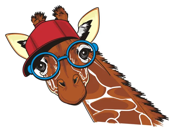 Fajna Morda Żyrafa Czapkę Okulary — Zdjęcie stockowe